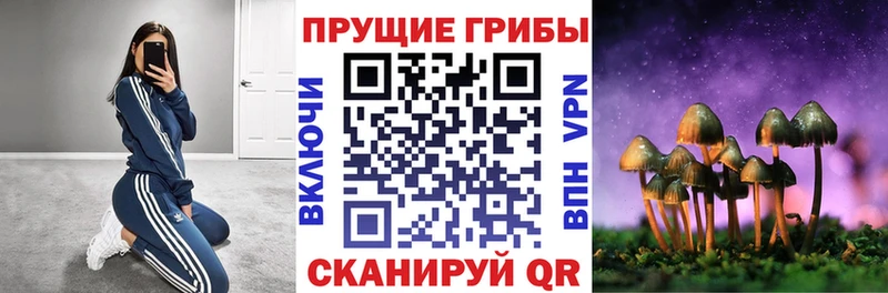 Галлюциногенные грибы Psilocybine cubensis  Зуевка 